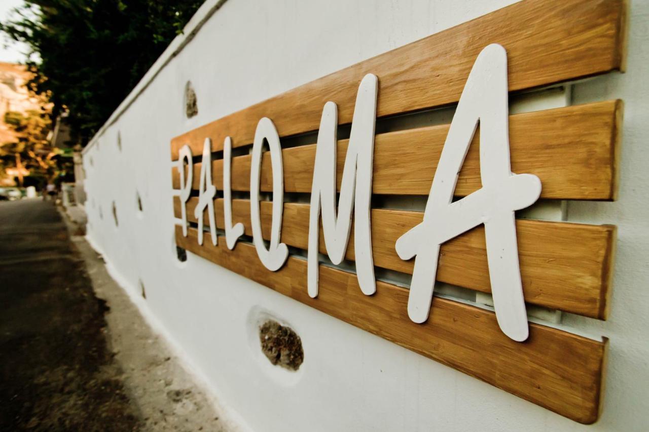 Paloma Luxury Studios Panormos  Exteriér fotografie