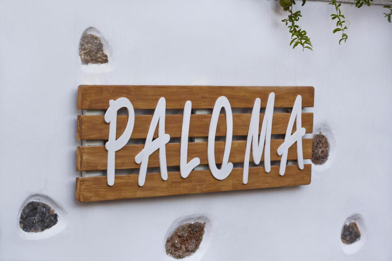 Paloma Luxury Studios Panormos  Exteriér fotografie