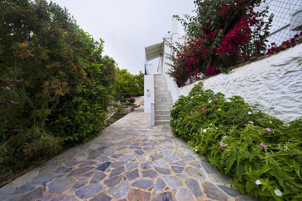 Paloma Luxury Studios Panormos  Exteriér fotografie